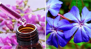 i285415639412300338._szw480h1280_